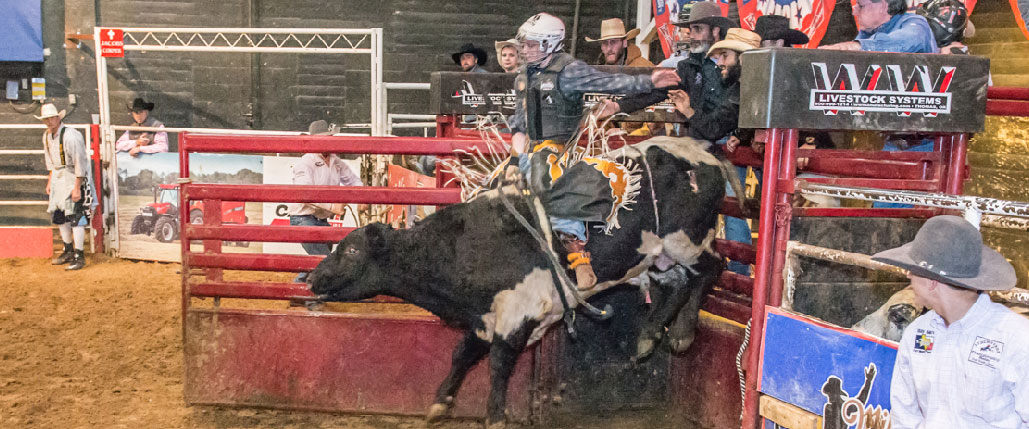 nude bull riding - luciane buchanan boobs lisa kudrow nude pictures