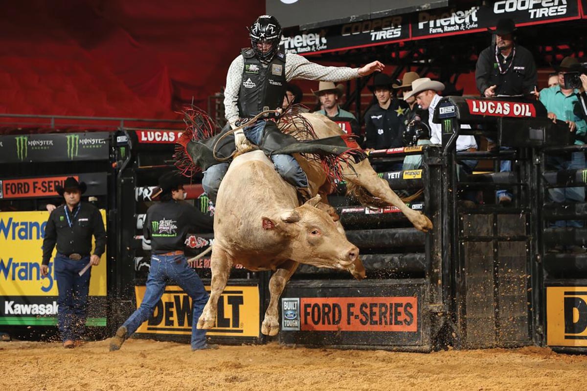 nude bull riding - pron spanking candy white porn