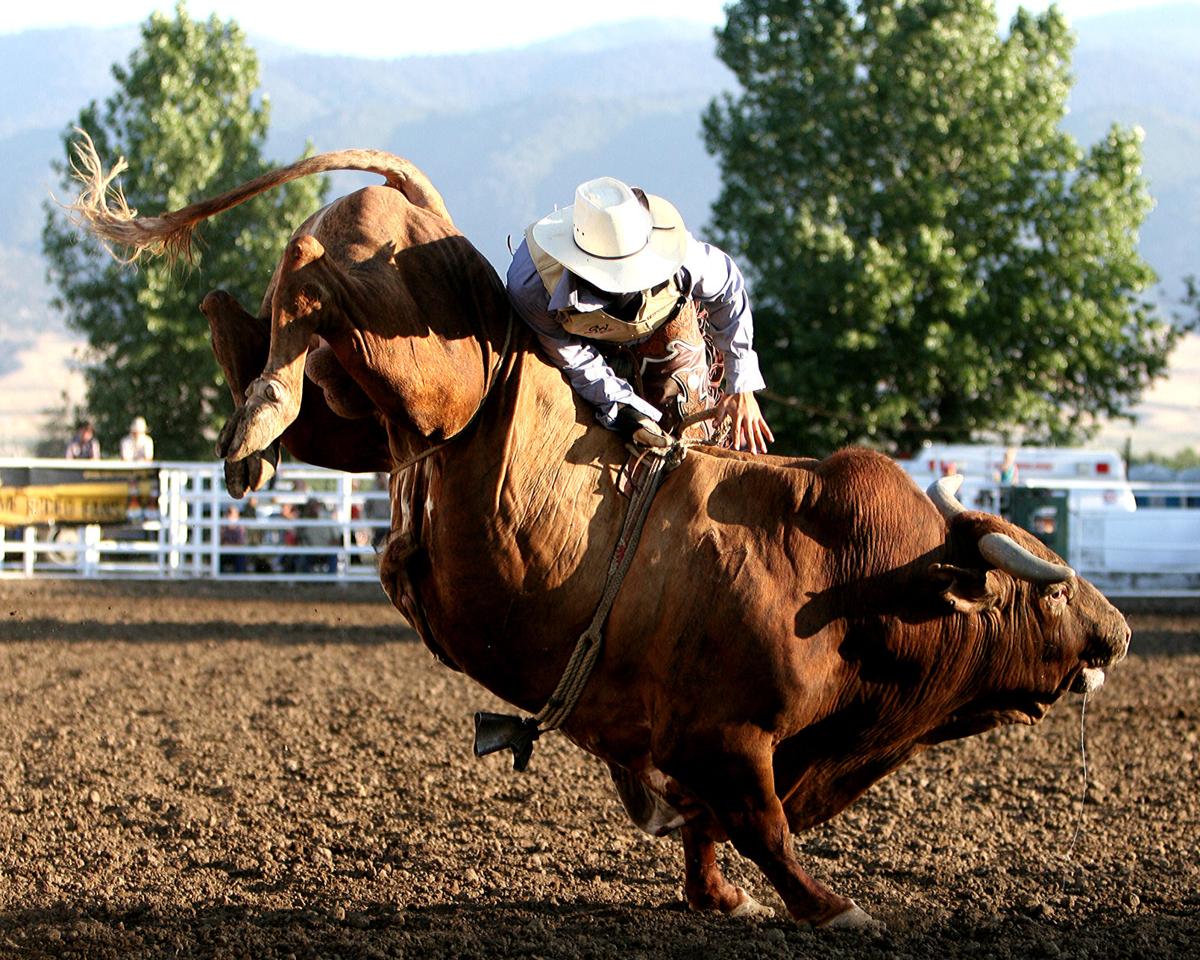 nude bull riding - jonah falcon wife brother sister home porn