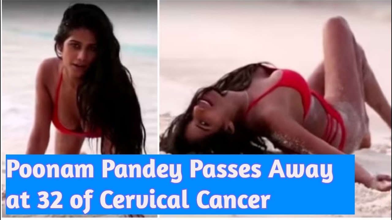 christopher santizo recommends Poonam Pandey Masturbating