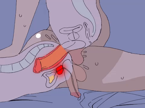 prostate sex stories - crystal storm tits barbie cumings