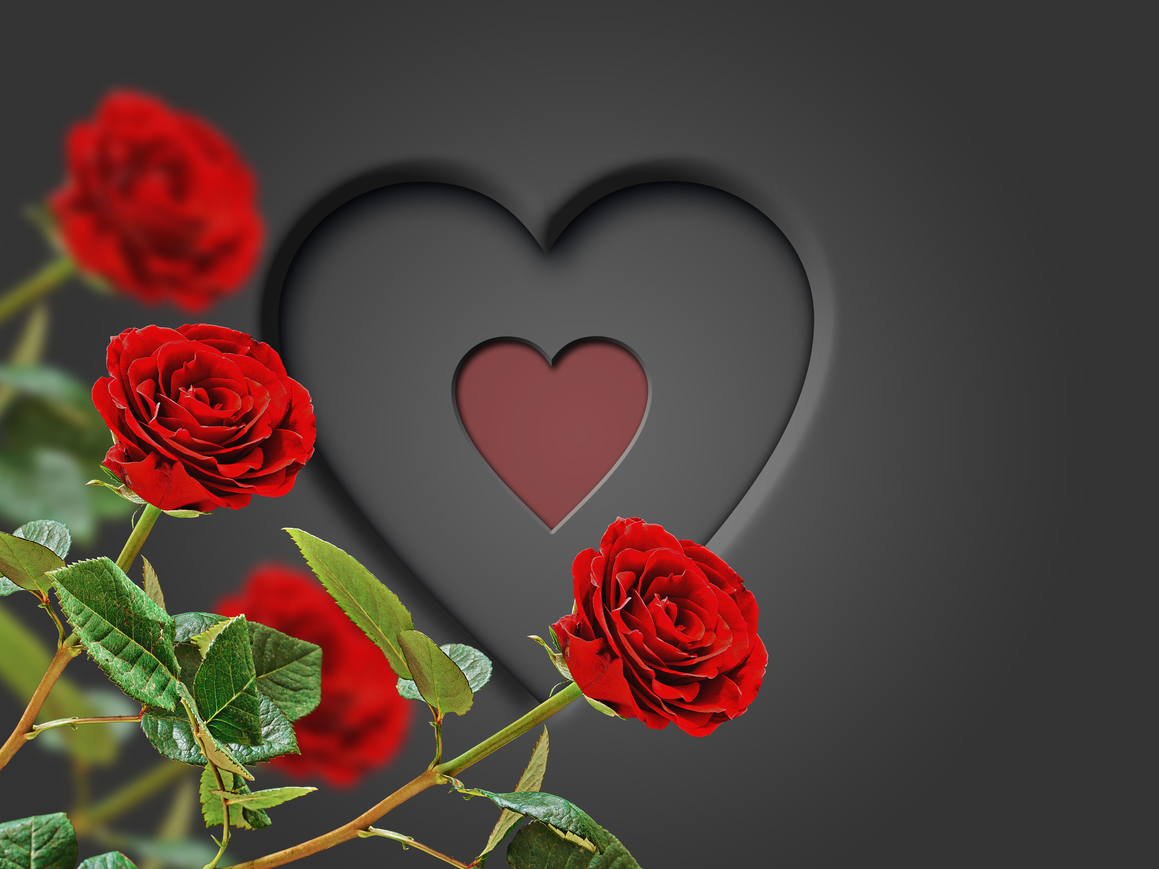 rose heart nude - luisa rosselini mature pusseys