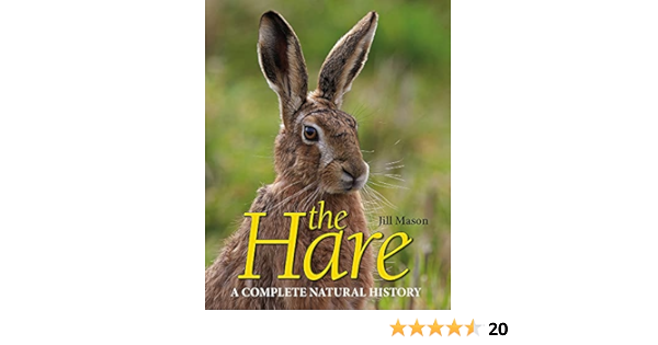 doris korte like sage rabbit bbc photo abdul jafir recommends sage rabbit bbc pic