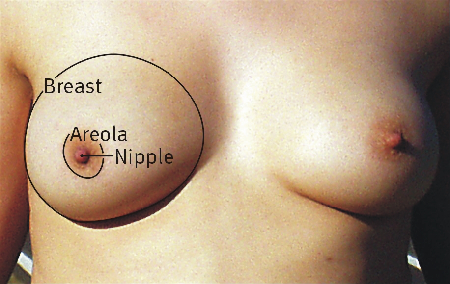 dan malicki like saggy milf boobs photo cristopher gonzales recommends saggy milf boobs pic