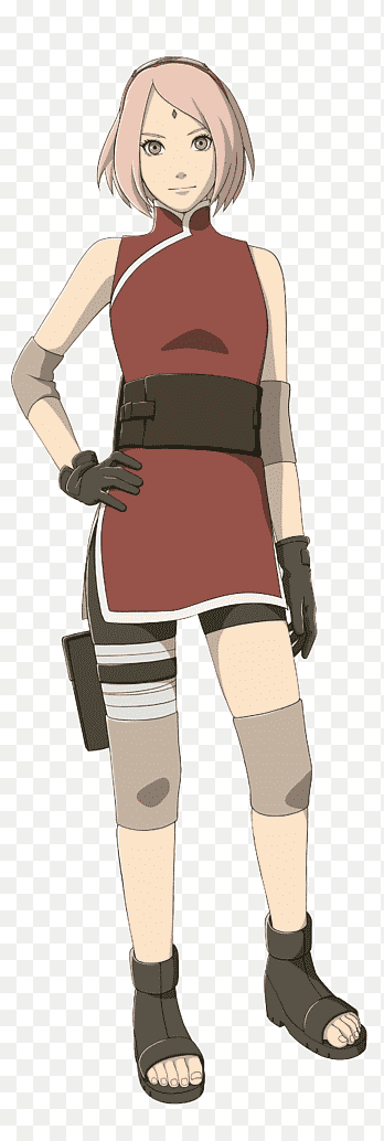 bear kay recommends sakura sakurda pic
