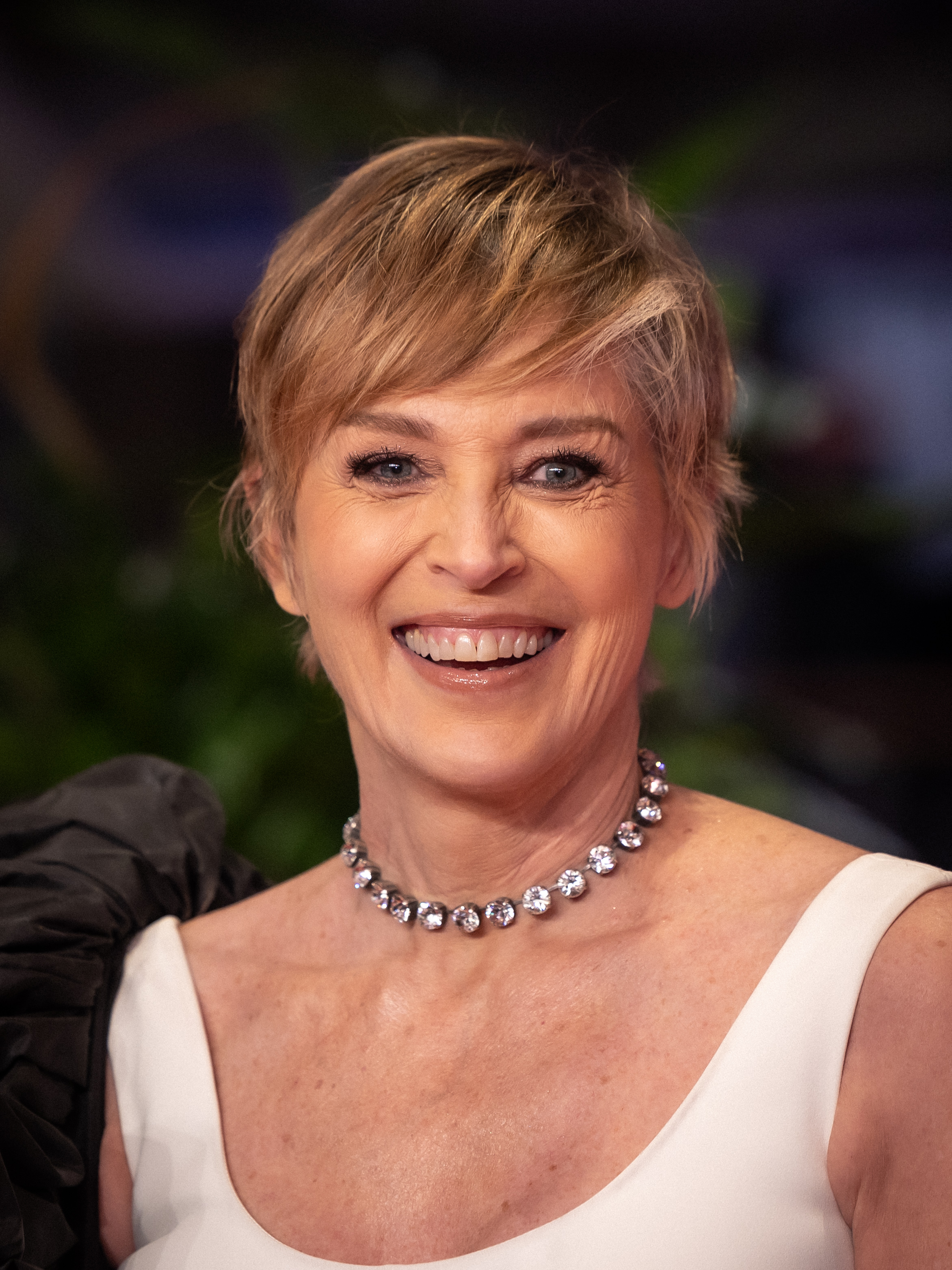 andreas john like sharon stone up skirt photo billy hillyard recommends sharon stone up skirt pic