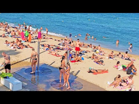 curtis schreiber recommends Spy Beach Videos