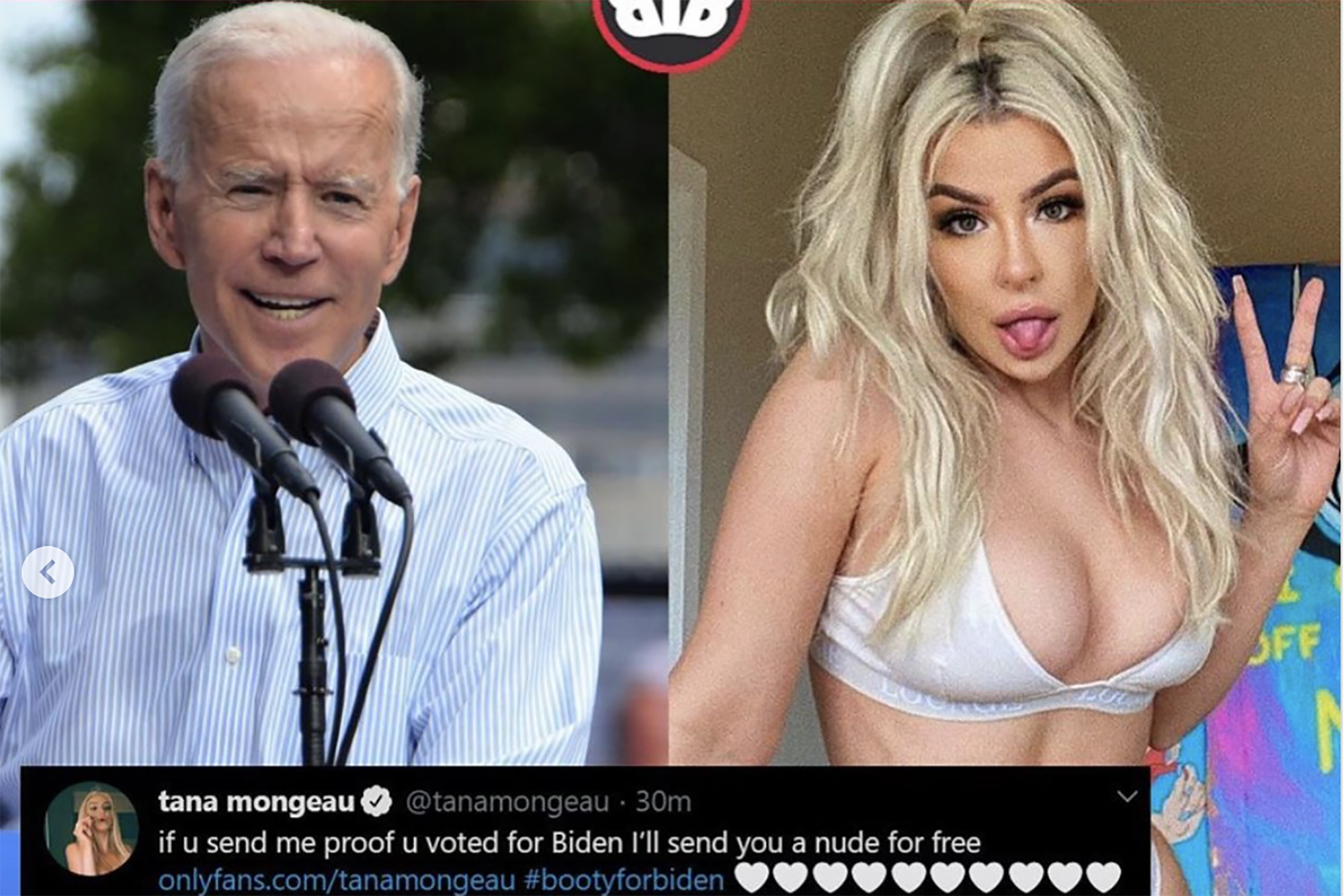 dan kammeraad recommends tana mongeau tits ada pixievelle add tana mongeau tits photo