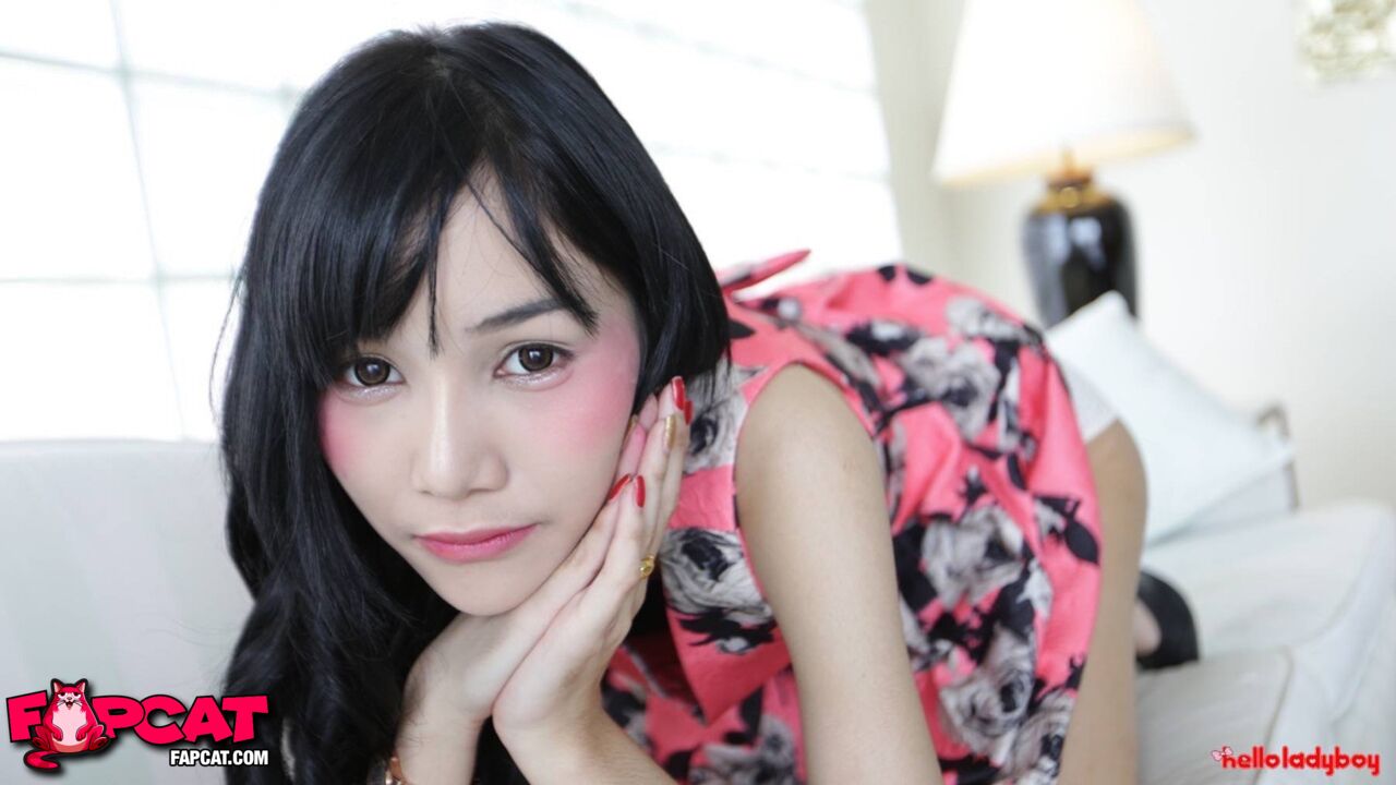chris hugon recommends Thai Ladyboy Bj