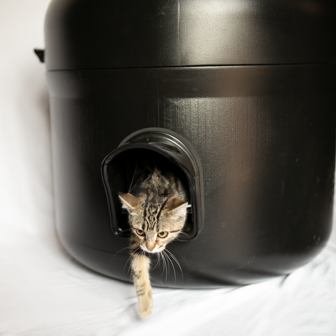 bonnie toth recommends tube kitty com amy sou add tube kitty com photo
