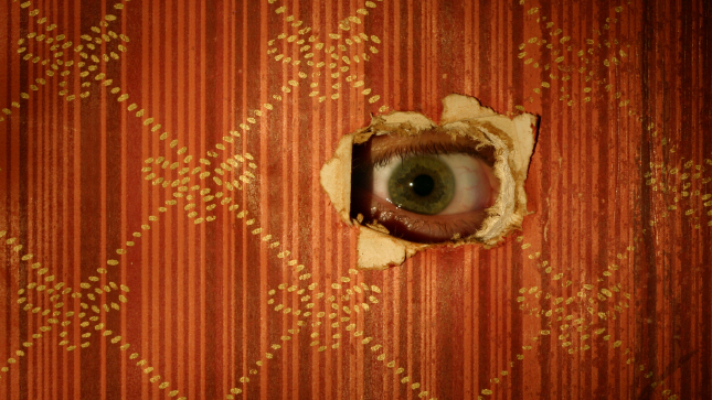 clara sullivan recommends Voyeur Sex Stories