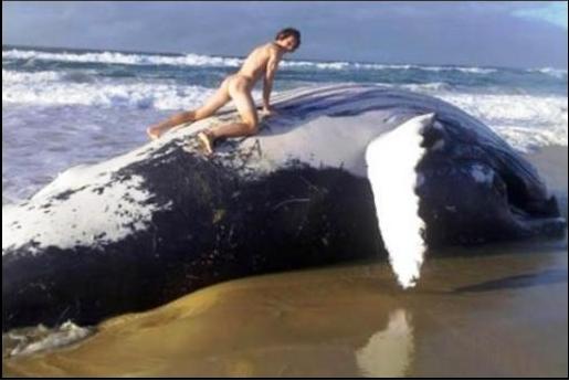 cindy vanetten like whale porn photo arber bardhaj recommends whale porn pic