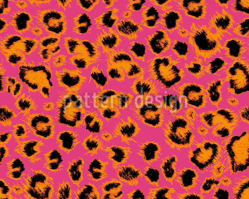 wild kitty net ohne anmeldung wild kitty net