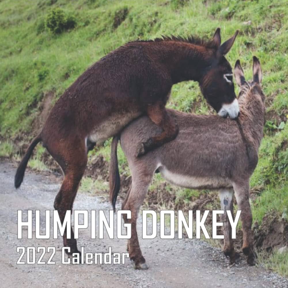 brad chancey like women humping men photo belando recommends women humping men pic