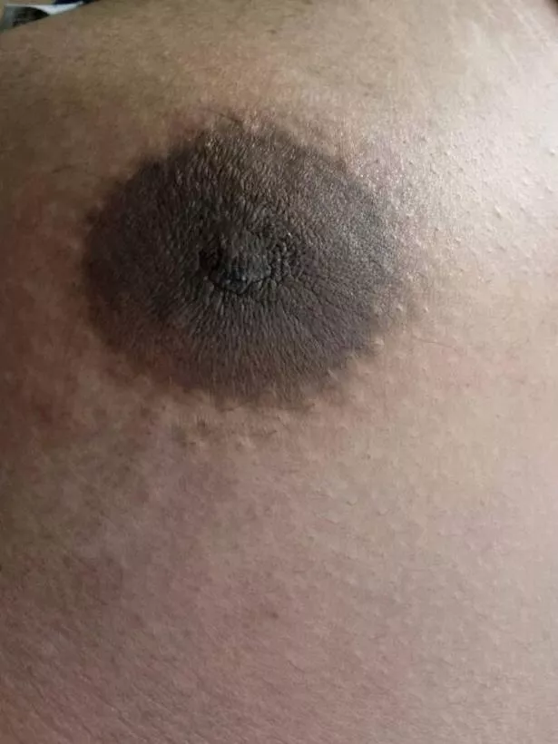 bryce haugen like women with hairy tits photo arnold chaves recommends women with hairy tits pic