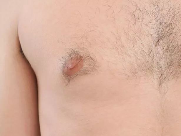 bruce barnes like with tits women hairy photo brad hadley recommends petite trap porn pic